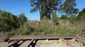 Steel #4 Rebar 20' Stick (150 pcs/bundle)